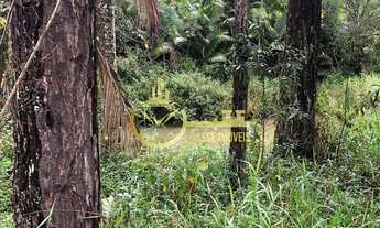 Imagem 5: Terreno à venda em Escalvados, Navegantes-SC 15.000m² de área !