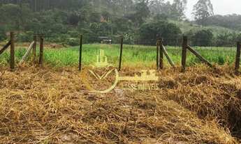 Imagem 3: Excelente oportunidade: Sítio à venda em Luiz Alves-SC, com 6.000,00 m² de área!