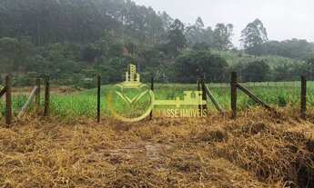 Imagem 2: Excelente oportunidade: Sítio à venda em Luiz Alves-SC, com 6.000,00 m² de área!