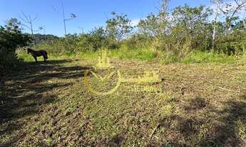 Imagem 7: Terreno à venda em Balneário Piçarras-SC, bairro São Brás, com 60.000,00 m² de área. Garan