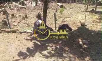 Imagem: Excelente oportunidade! Sítio à venda