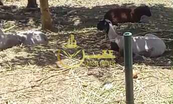 Imagem 3: Excelente oportunidade! Sítio à venda em Blumenau-SC, bairro Vila Itoupava, com 5.000 m² d