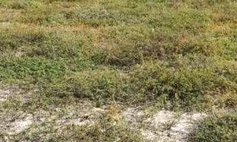 Imagem 4: 2 terreno à venda, 800 m² por r$ 100.000 - lucena - lucena/pb para