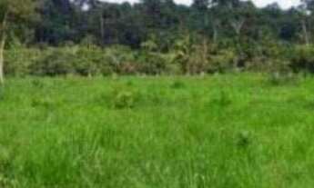 Imagem: Fazenda à venda, 1010000 m² por r$ 370.000.000,00