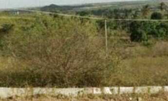 Imagem: Terreno à venda, 320 m² por r$ 45.000