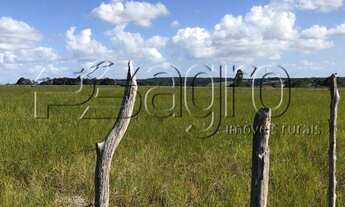 Imagem: Fazenda à venda, 1440000 m² por r$ 5.000.000,00