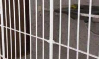 Imagem 6: Casa com 5 dormitórios à venda, 300 m² por r$ 1.100.000 - bessa - joão pessoa/pb para