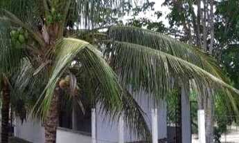 Imagem: Sítio à venda, 10000 m² por r$ 740.000,00