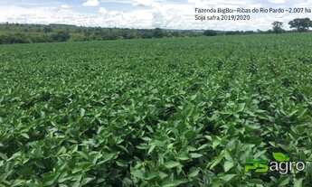 Imagem 4: Fazenda à venda, 20070000 m² por r$ 70.245.000,00 - centro - ribas do rio pardo/ms para