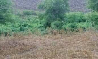 Imagem: Terreno à venda, 4800000 m² por r$ 550.00