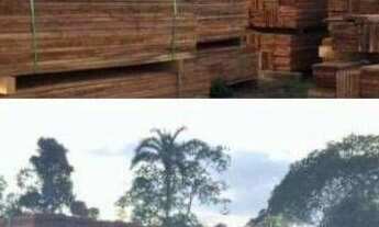 Imagem 6: Fazenda à venda, 1010000 m² por r$ 370.000.000,00 - alvorada - pimenta bueno/ro para