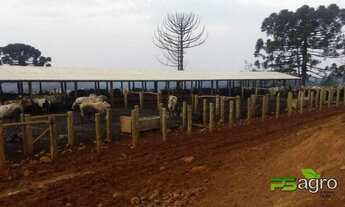 Imagem 2: Fazenda à venda, 23958000 m² para