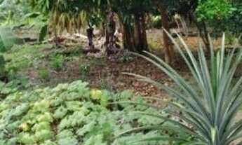 Imagem: Fazenda à venda, 4230000 m² por r$ 1.500