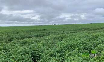 Imagem: Fazenda à venda, 43530000 m² por r$ 90.000.000