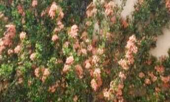 Imagem 3: Casa com 2 dormitórios à venda por r$ 180.000,00 - alto do mateus - joão pessoa/pb para