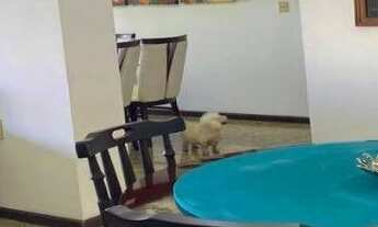 Imagem 7: Apartamento com 3 dormitórios à venda, 130 m² por r$ 470.000,00 - miramar - joão pessoa/pb