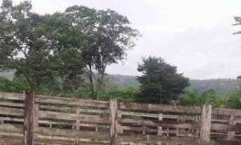 Imagem 4: Fazenda à venda, 5.593ha² por r$ 11.000.000 - área rural - floriano/pi para