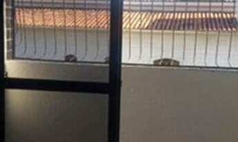 Imagem 2: Apartamento com 2 dormitórios à venda, 56 m² por r$ 150.000,00 - cuiá - joão pessoa/pb par