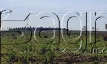 Imagem: Fazenda à venda, 613 alqueires por r$ 30.650.000