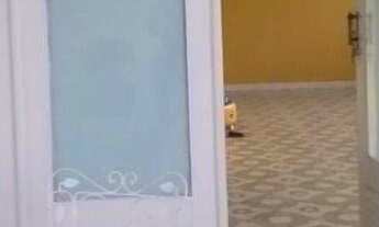 Imagem: Casa com 4 dormitórios à venda, 380 m²