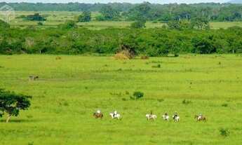 Imagem 3: Fazenda à venda, 88.000 hectares por r$ 132.000.000 - centro - poconé/mt para