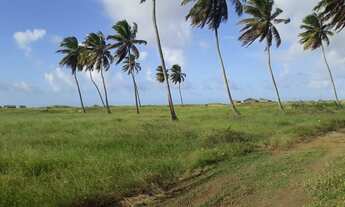 Imagem: Lote de 2 terrenos de 250m² cada, praia