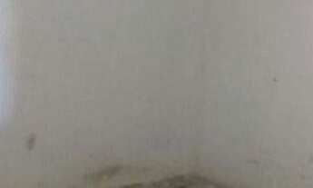 Imagem: Casa com 3 dormitórios à venda, 450 m²