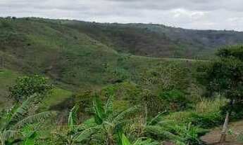 Imagem 3: Oportunidade) chácara à venda, 1000 m² por r$ 250.000 - centro - pilões/pb para