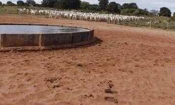 Imagem 5: Fazenda à venda, 19673 m² por r$ 650.000.000,00 - centro - ribas do rio pardo/ms para