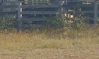 Imagem 2: Fazenda à venda, 5.5000h² por r$27.500.000,00 - marcos parente/pi para