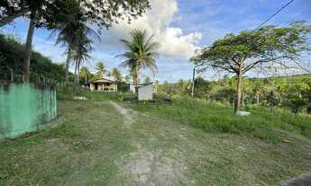 Imagem 6: Granja com 4 hectares por R$900.000,00