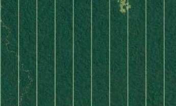 Imagem: Fazenda à venda, 15000 m² por r$ 2.625.000