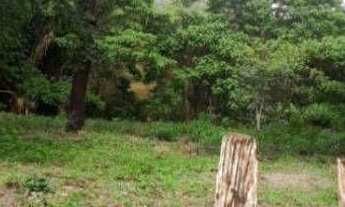 Imagem 2: Fazenda à venda, 5.593ha² por r$ 11.000.000 - área rural - floriano/pi para