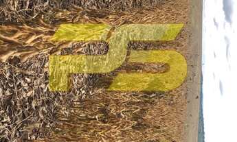 Imagem 5: FAZENDA RURAL em SERRANÓPOLIS - GO, Chapadão do céu