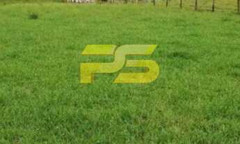 Imagem 4: FAZENDA RURAL em MARIANÓPOLIS DO TOCANTINS - TO, crixás de tocantis