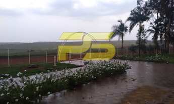 Imagem 3: FAZENDA RURAL em SERRANÓPOLIS - GO, Chapadão do céu