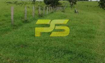 Imagem 7: FAZENDA RURAL em MARIANÓPOLIS DO TOCANTINS - TO, crixás de tocantis