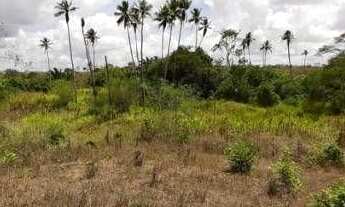 Imagem 3: Fazenda à venda, 15 hectares por r$ 850.000 - sapé - sapé/pb para