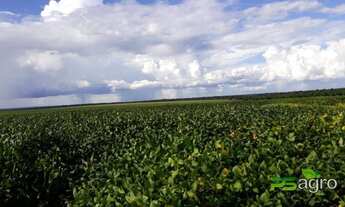 Imagem 7: Fazenda à venda, 48000000 m² por r$ 15.000.000 - menino deus - lucas do rio verde/mt para
