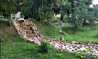 Imagem 2: Fazenda com 5 dormitórios à venda, 1 m² por r$ 1.500.000,00 - zona rural - pedras de fogo