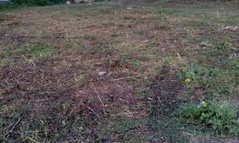 Imagem 5: Terreno em Guarabira-pb 160m², a venda por R$50.000,00
