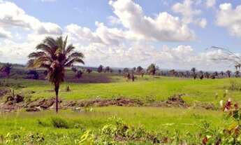 Imagem 2: Fazenda 59.000 hectares no Sul do Pará, a venda por R$3.000.000.000,00