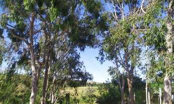 Imagem 5: Sitio 8,94 hectares em Olho D´Água a venda por R$ 260 mil