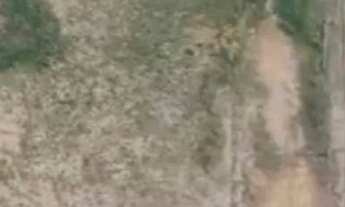 Imagem: Terrenos a venda 280m², a partir de R$75.000,00