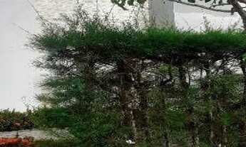 Imagem 2: Casa com 3 dormitórios à venda, 300 m² por r$ 1.000.000,00 - intermares - cabedelo/pb para