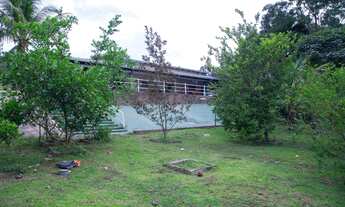 Imagem 6: Chácara 2 hectares em DF, a venda por R$1.400.000,00