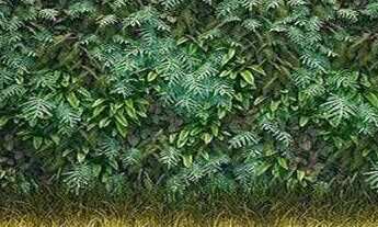 Imagem 3: Apartamentos intermares - cabedelo/pb para