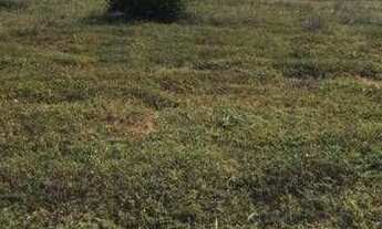 Imagem 3: 2 terreno à venda, 800 m² por r$ 100.000 - lucena - lucena/pb para