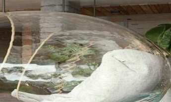 Imagem 5: Apartamento com 1 dormitório à venda, 40 m² por r$ 339.500,00 - tambaú - joão pessoa/pb pa