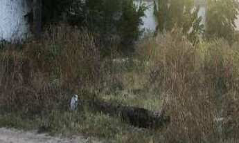 Imagem: Terreno à venda, 1050 m² por r$ 1.350.000,00